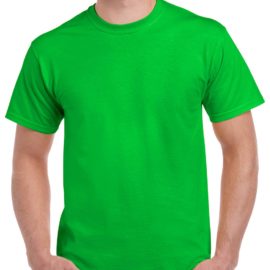 Customize Gildan 5000 men's short-sleeve t-shirt with your logo, team name and number, or your own design at iCustomizeit.ca.